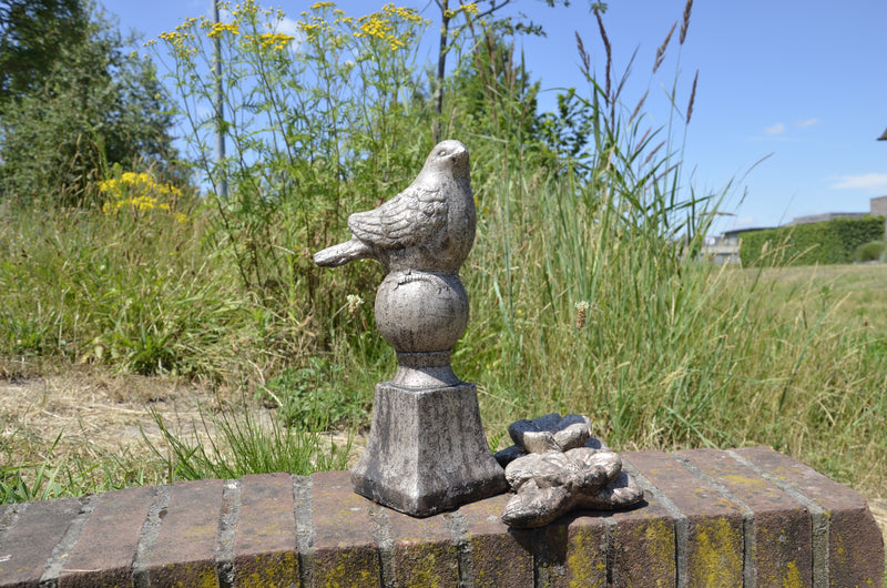 Mand Kalima rond S/3