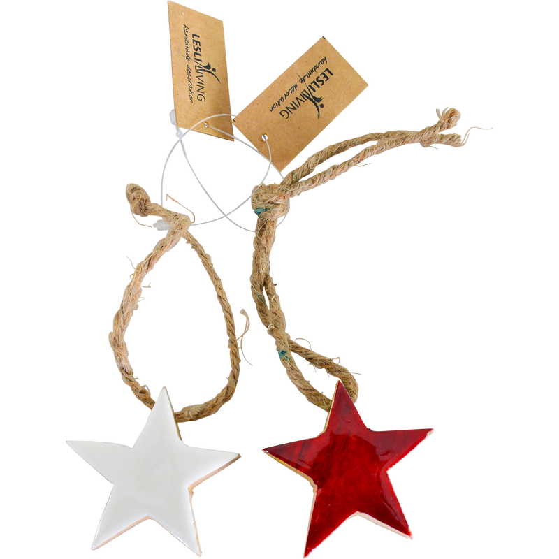 Hanger ster in fles, 2 assorti